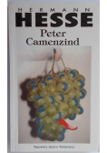 Peter Camenzind