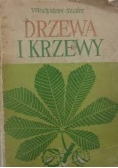 Drzewa i Krzewy