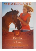 Powroty. Po burzy.