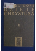 Dzieje Chrystusa, Tom II