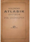Kolorowy atlasik grzybów i ziół leczniczych