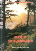 Rolf w lasach