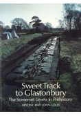 Sweet Track to Glastonbury