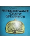 Pielęgnowanie drzew ozdobnych