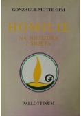 Homilie na Niedziele i Święta
