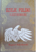 Dzieje Polski ilustrowane  Reprint z 1904 r.