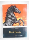 Black Beauty