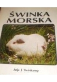 Świnka Morska