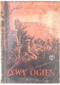 Żywy ogień