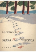 Szara Wilczyca