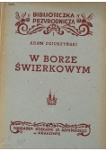 W borze świerkowym 1946 r.