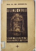 Święty Całun Męka Pańska w oświetleniu nauki 1937 r.