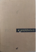 Fizyka w Przykładach
