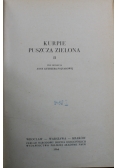 Kurpie puszcza zielona II