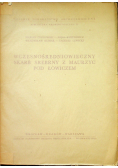 Wczesnośredniowieczny skarb srebrny z Maurzyc pod Łowiczem