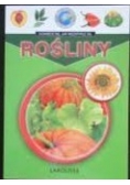 Rośliny