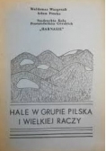 Hale w grupie Pilska w Wielkiej Raczy