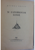 W zatopionym lesie