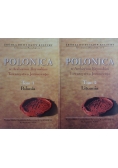 Polonica w Archiwum Rzymskim Towarzystwa Jezusowego, t. 1-2