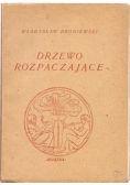 Drzewo rozpaczające