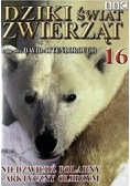 Dziki świat zwierząt 16. Niedźwiedź polarny - arktyczny olbrzym . DVD