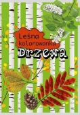Leśna kolorowanka. Drzewa