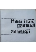 Atlas histopatologii zwierząt