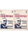 Polityka Polski i odbudowanie państwa