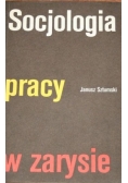 Socjologia pracy w zarysie