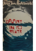 Delfiny idą po wiatr