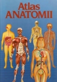 Atlas anatomii