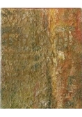 Notatki malarskie: Dzienniki, 1954-1966