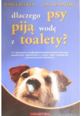 Dlaczego psy piją wodę z toalety