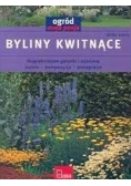 Byliny kwitnące