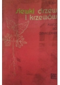 Siewki drzew i krzewów