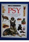 Psy