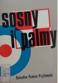 Sosny i palmy