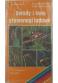 Owady i inne stawonogi lądowe