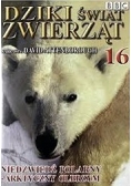 Dziki świat zwierząt 16 Niedźwiedź polarny arktyczny olbrzym DVD