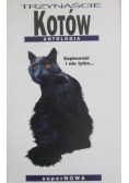 Trzynaście kotów. Antologia