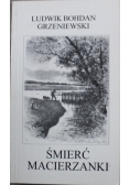 Śmierć macierzanki