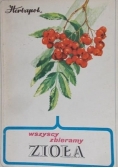 Wszyscy zbieramy zioła