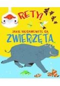 Rety! Jakie niesamowite są zwierzęta