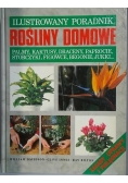 Ilustrowany poradnik: Rośliny domowe