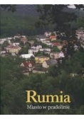 Rumia miasto w pradolinie