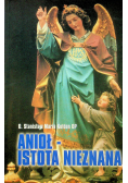 Anioł istota nieznana