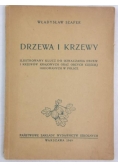 Drzewa i krzewy, 1949 r.