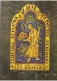 Ziele szalonych