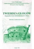 Twierdza Głogów. Zagospodarowanie budowli obronnych w Polsce