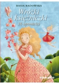 Wróżki i księżniczki 16 opowieści